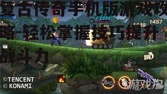 四、组队合作与战术运用