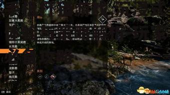 手机打猎游戏,沉浸式体验与策略解析-玩家必备攻略