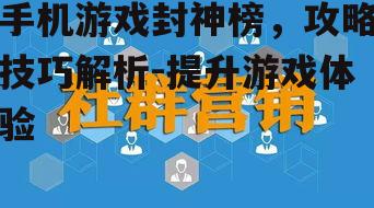 四、社交互动与合作