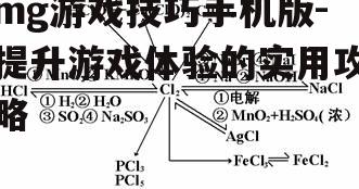 二、掌握基本技巧与策略