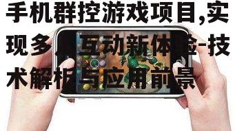 手机群控游戏项目,实现多人互动新体验-技术解析与应用前景