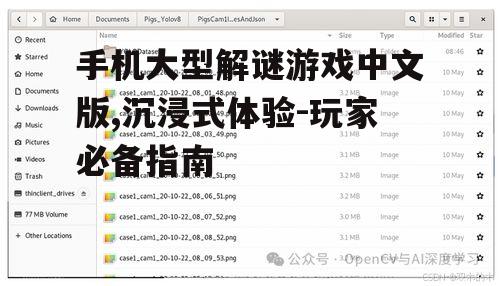 四、游戏操作与优化