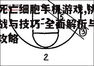 三、技巧与战术分享