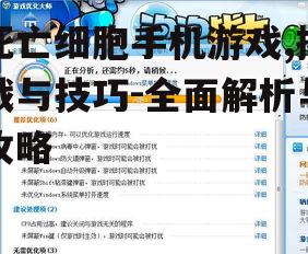 四、游戏优化建议