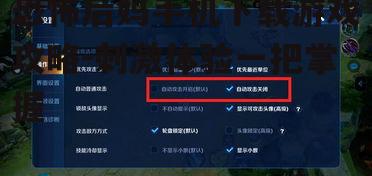 四、调整游戏设置以提升体验