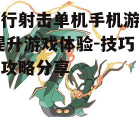 三、游戏技巧掌握