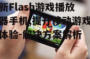 四、新Flash游戏播放器手机的安全性