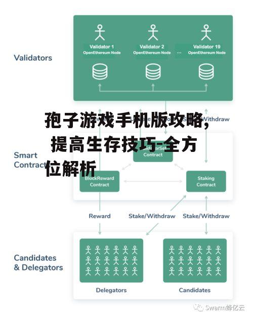 二、了解生态系统