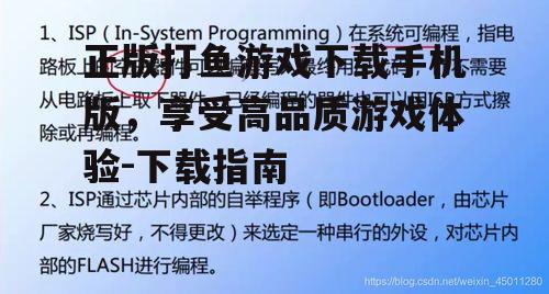 三、下载过程中的注意事项