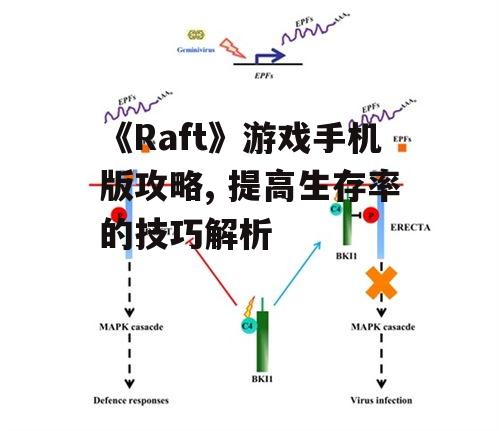 三、防御机制与敌人应对