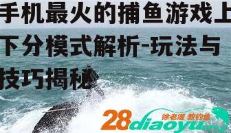 三、如何提高捕鱼成功率