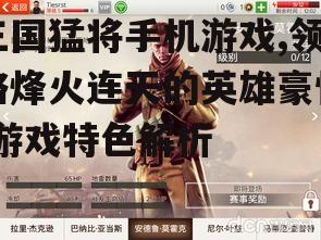 三、战斗玩法与策略