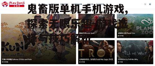 鬼畜版单机手机游戏,探索无限乐趣-游戏选择与技巧解析