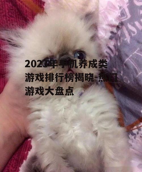 四、排行榜第三名:比特猫
