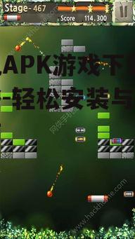 二、如何确保APK游戏下载的安全