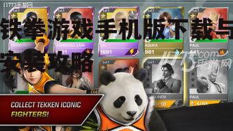 二、安装铁拳游戏手机版前的准备