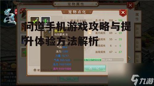 问道手机游戏攻略与提升体验方法解析
