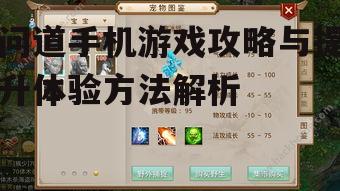 三、问道手机游戏提升体验方法