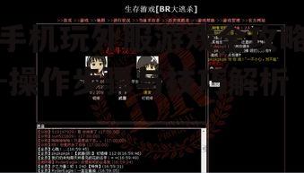 二、下载与安装游戏