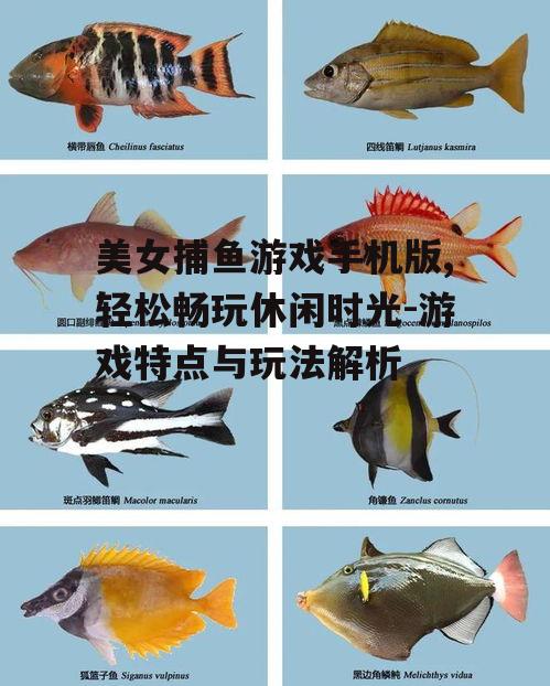 二、丰富多样的鱼类与道具