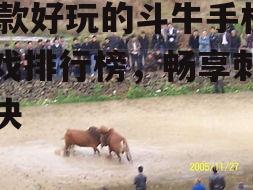 四、斗牛先锋