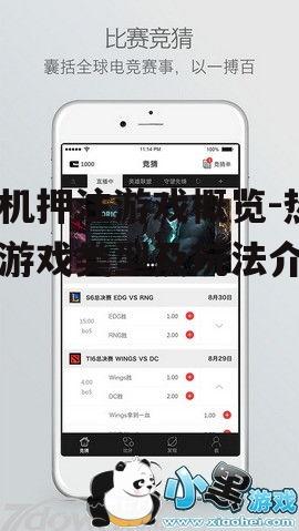 2. 电子竞技投注