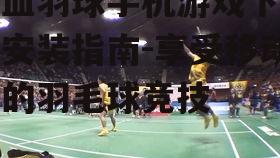 二、热血羽球下载步骤