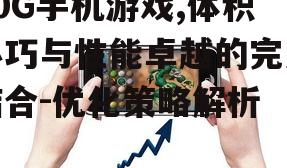 20G手机游戏,体积小巧与性能卓越的完美结合-优化策略解析