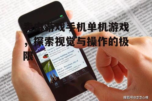 二、如何选择适合自己的卖肉手机单机游戏