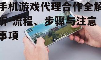 二、选择合适的手机游戏产品