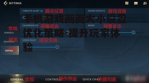 三、如何优化游戏画面大小设置