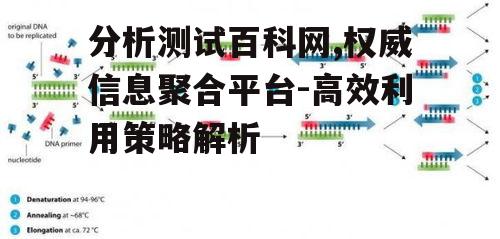 分析测试百科网,权威信息聚合平台-高效利用策略解析