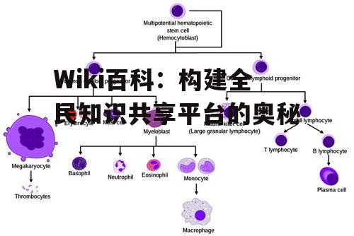 二、Wiki百科的核心功能