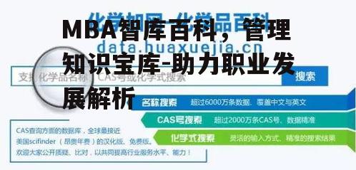 二、如何高效使用MBA智库百科