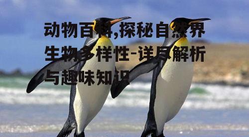 动物百科,探秘自然界生物多样性-详尽解析与趣味知识