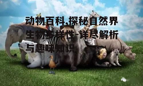 四、爬行动物的生存智慧