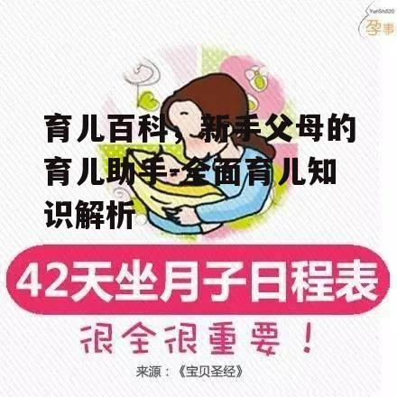 育儿百科，新手父母的育儿助手-全面育儿知识解析