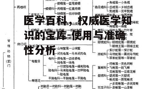 医学百科，权威医学知识的宝库-使用与准确性分析