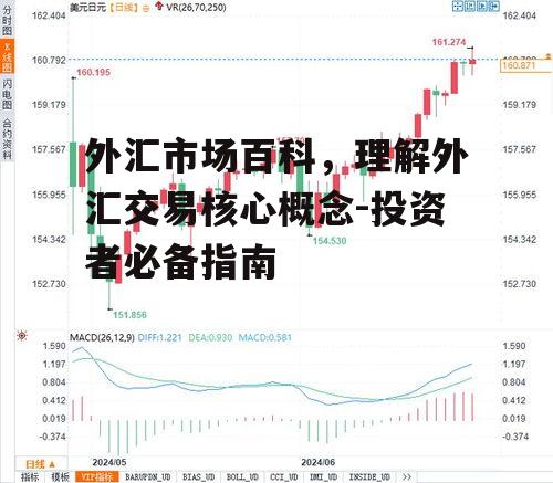 三、外汇市场的主要参与者
