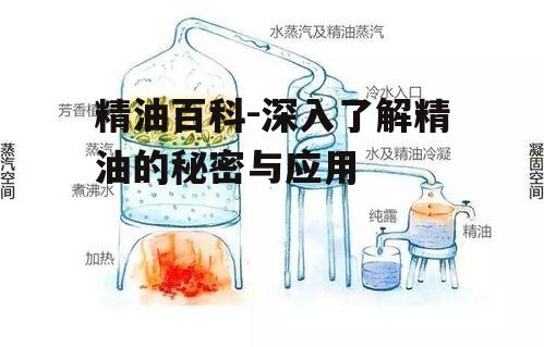 精油百科-深入了解精油的秘密与应用