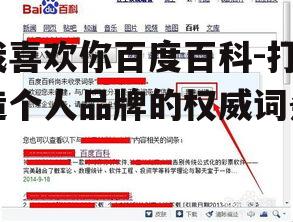 四、百度百科词条的维护与更新