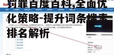 罚罪百度百科,全面优化策略-提升词条搜索排名解析