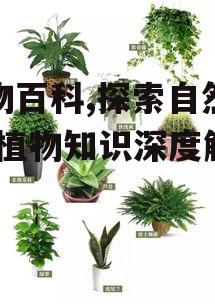 植物百科,探索自然之美-植物知识深度解析