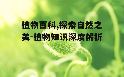 四、植物用途与人类生活