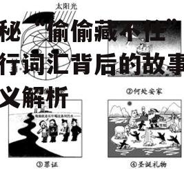 四、如何正确使用“偷偷藏不住”