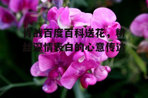 二、送花的传统与意义