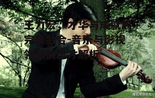 王力宏，才华与成就的完美融合-音乐与影视领域的全才解析