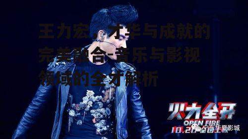 三、王力宏的影视作品及表现