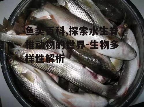 四、鱼类的食性与捕食策略