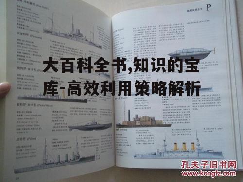 大百科全书,知识的宝库-高效利用策略解析